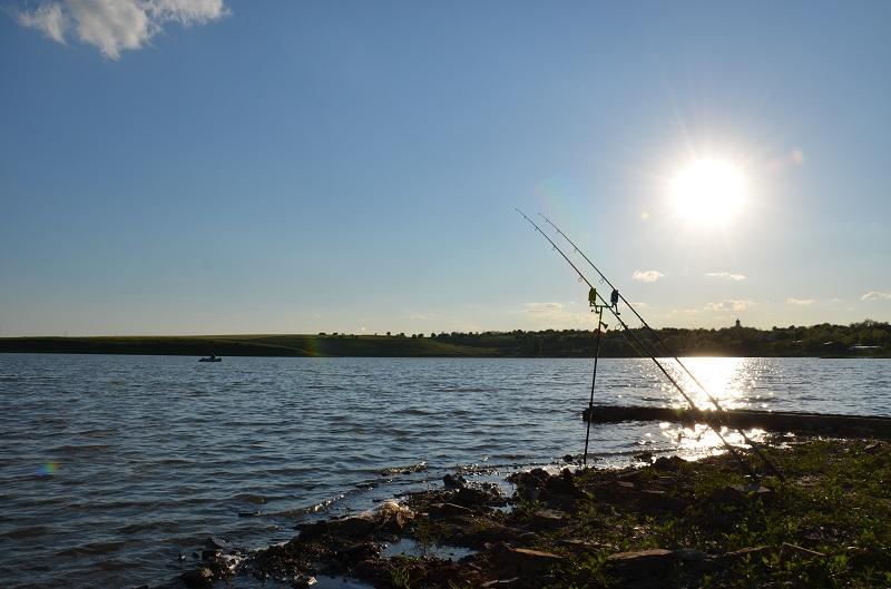 Sarulesti - Mai 2013 - andrei-vladeanu-pescuit-sarulesti-14.JPG